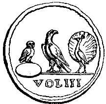 voliii, a volee of the order of the third bird